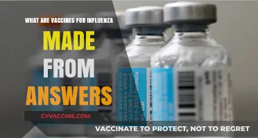 Understanding Influenza Vaccines: Key Components and Their Origins Explained