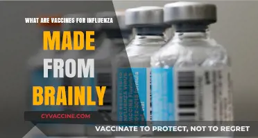 Understanding Influenza Vaccines: Key Components and Their Origins Explained