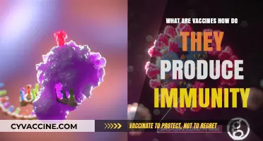 Understanding Vaccines: How They Work to Build Immunity