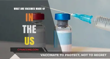 Understanding Vaccine Ingredients: A Breakdown of US Vaccine Components