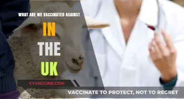 UK Vaccination Schedule: Diseases We're Protected Against in Britain