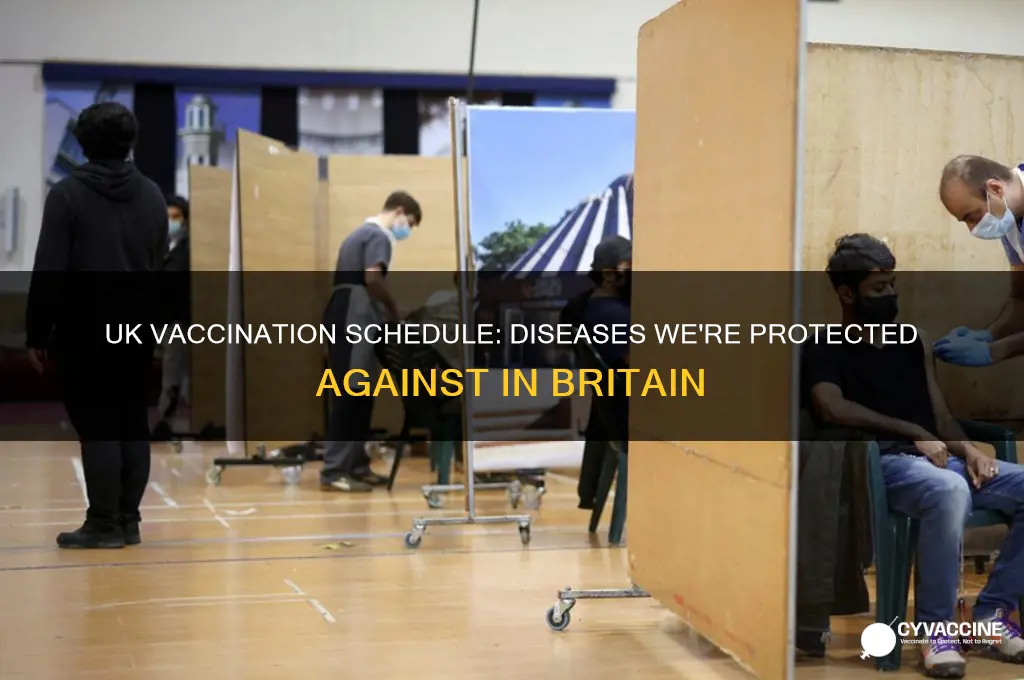 what are we vaccinated against in the uk