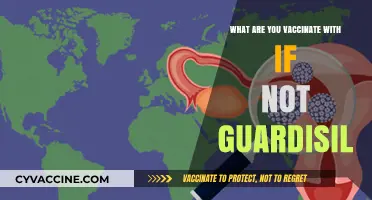 Beyond Gardasil: Exploring Alternative Vaccines for HPV Prevention