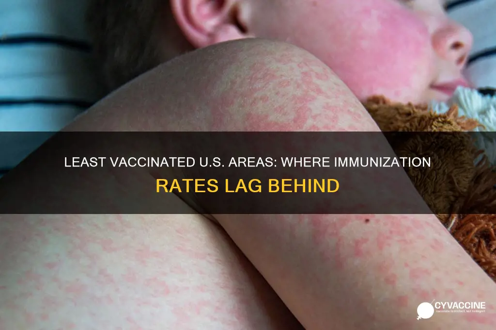 what areas of the united states has the least vaccines