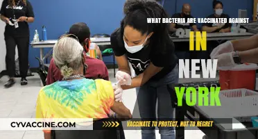 Vaccinated Bacteria in New York: Essential Immunizations Explained