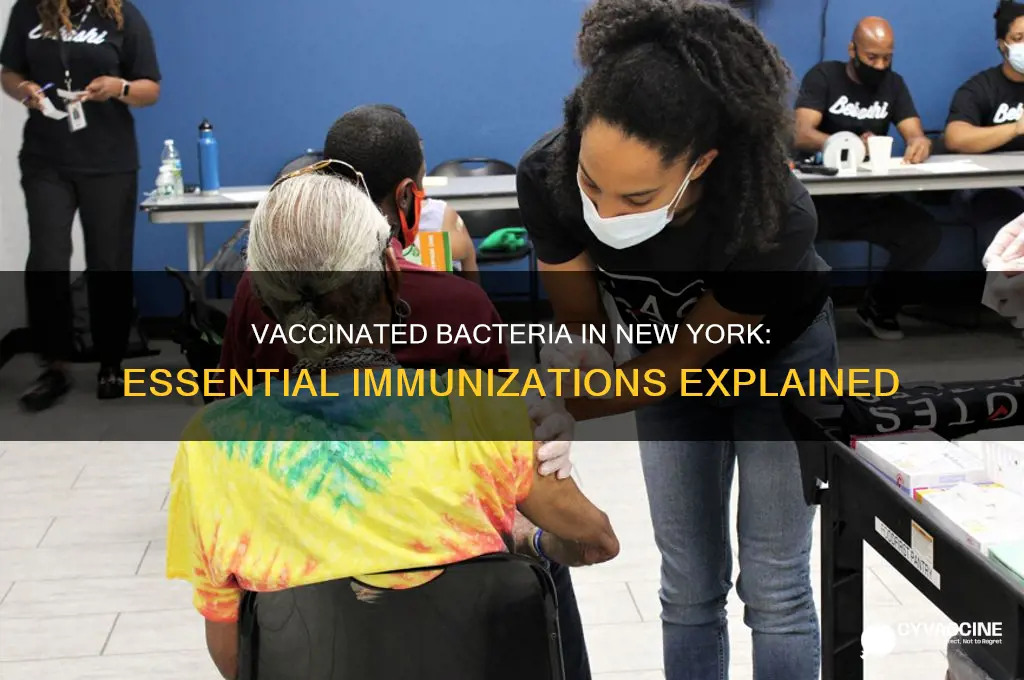 what bacteria are vaccinated against in new york