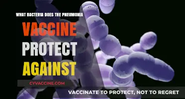 Pneumonia Vaccine: Key Bacteria It Shields Against Explained