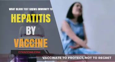 Hepatitis Vaccine Immunity: Key Blood Tests to Confirm Protection