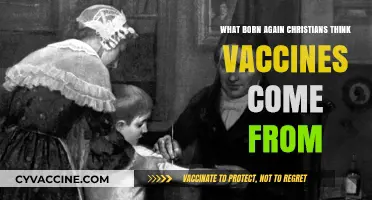 Unraveling Born Again Christians' Beliefs About Vaccine Origins