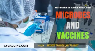 Microbiology: The Science Behind Microbes and Vaccine Development