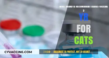 Recombinant Rabies Vaccine 3-Year Brand for Cats Explained