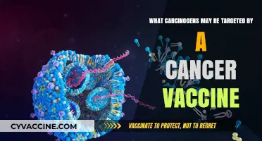 Targeting Carcinogens: Potential Cancer Vaccine Strategies for Prevention and Treatment