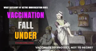 Understanding Vaccination: Active Immunization's Role in Preventing Diseases