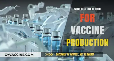 Optimal Cell Lines for Efficient and Safe Vaccine Production