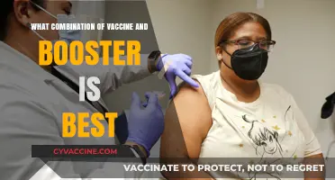 Optimal Vaccine and Booster Combinations for Maximum Immunity