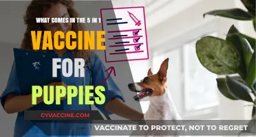 Puppy 5-in-1 Vaccine: Essential Protection for Your Furry Friend