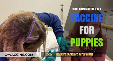 Puppy 8-in-1 Vaccine: Essential Protection for Your Furry Friend