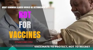Vaccines Prevented These Deadly Diseases: A Look at Common Illnesses