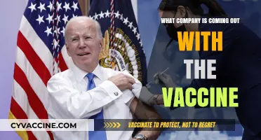 Which Company is Leading the Race to Release the Vaccine?