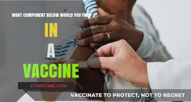 Understanding Vaccine Composition: Key Components and Their Roles Explained