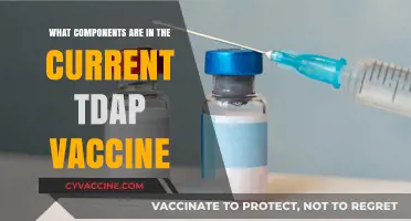 Understanding the Tdap Vaccine: Key Components and Their Functions