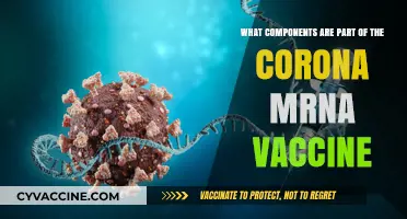 Understanding the Key Components of the Corona mRNA Vaccine