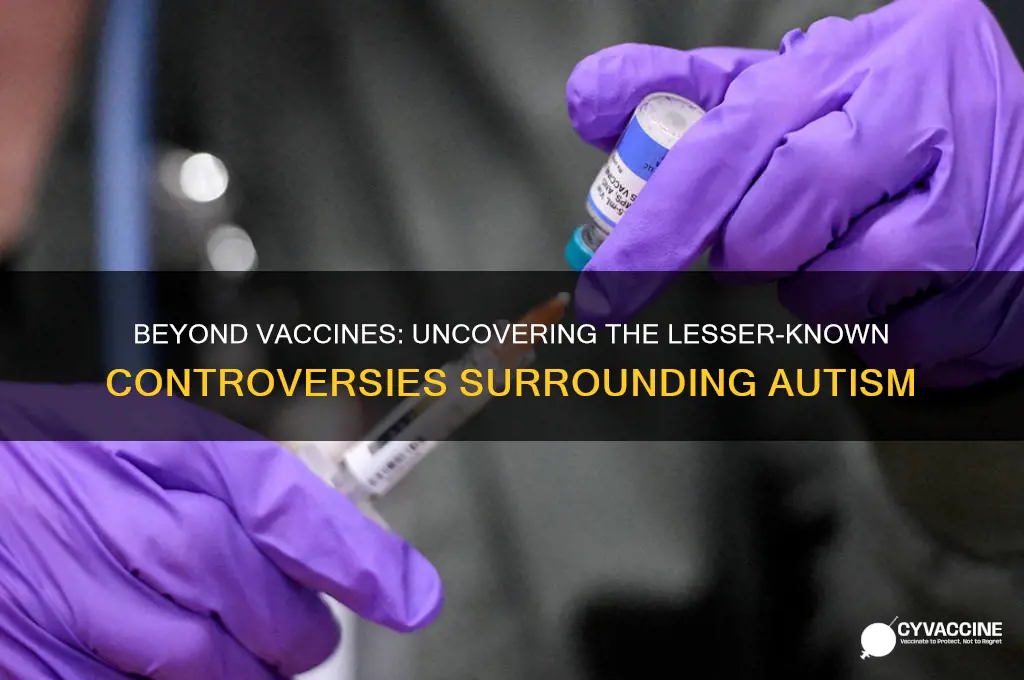 what controversy does autism have other than vaccines