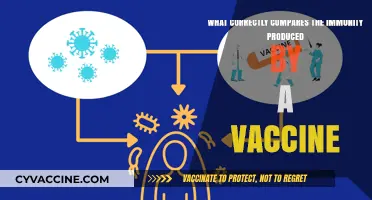 Vaccine Immunity Compared: Understanding Active, Passive, and Natural Protection
