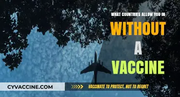 Traveling Unvaccinated: Countries Welcoming Visitors Without Vaccine Requirements
