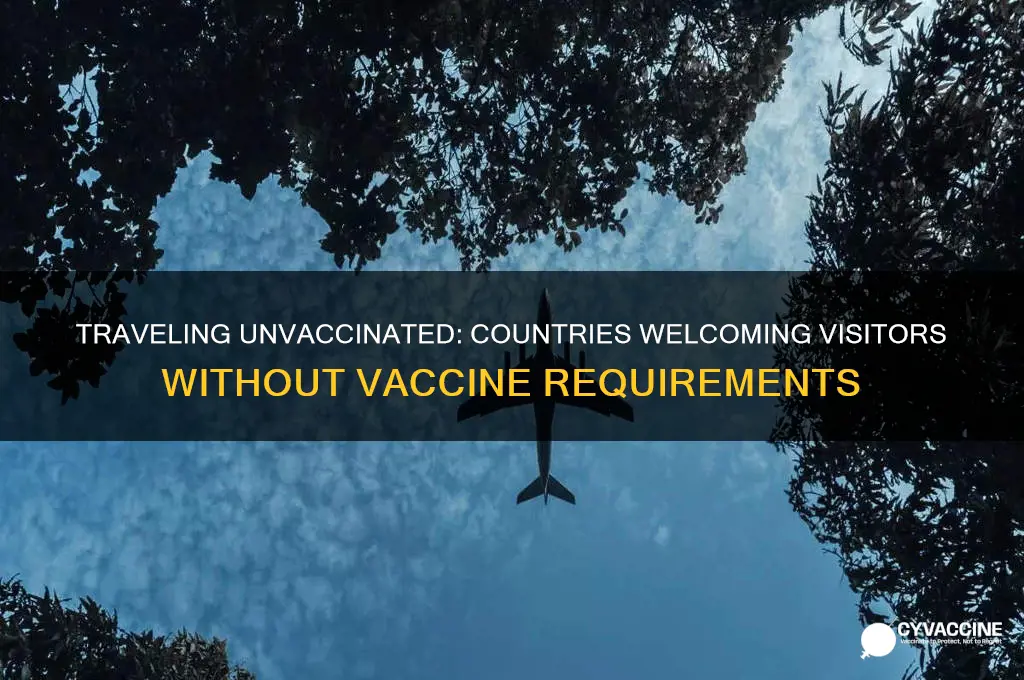 what countries allow you in without a vaccine