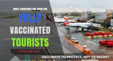 Traveling Post-Pandemic: Countries Welcoming Fully Vaccinated Tourists Now