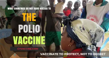 Global Polio Vaccine Gaps: Which Nations Lack Access?