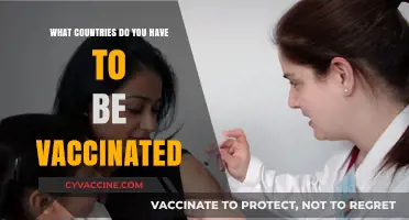 Travel Vaccination Requirements: Which Countries Mandate Vaccines for Entry?