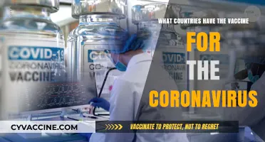 Global COVID-19 Vaccine Rollout: Which Countries Have Access?