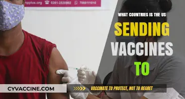 US Global Vaccine Aid: Which Countries Are Receiving Doses?