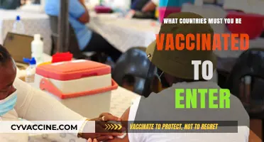 Essential Vaccination Requirements: Countries Mandating Immunization for Entry