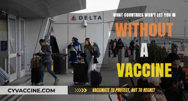 Travel Restrictions: Countries Requiring Vaccination for Entry in 2023