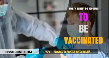 Global Vaccine Requirements: Which Countries Mandate Vaccination for Entry?