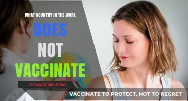 Exploring Nations with No Vaccination Programs: A Global Health Perspective