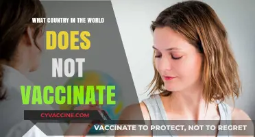 Exploring Nations with No Vaccination Programs: Global Health Insights