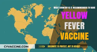 Recommended Countries for Yellow Fever Vaccination: Essential Travel Health Guide