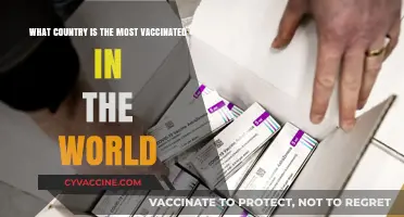 Global Vaccination Leader: Which Country Tops the Immunization Chart?
