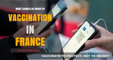 Understanding France's Accepted COVID-19 Vaccination Proof Requirements and Documents