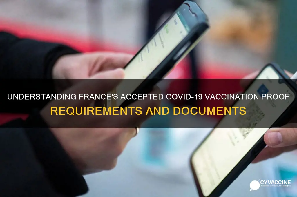 what counts as proof of vaccination in france
