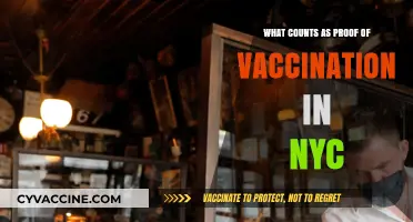 NYC Vaccine Proof: Accepted Documents and Requirements Explained