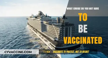 Cruise Options for Unvaccinated Travelers: Exploring Vaccine-Free Voyages