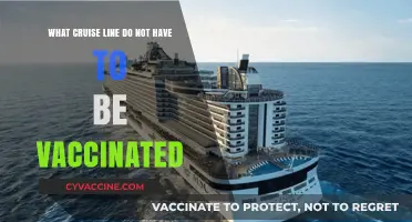 Cruise Lines Allowing Unvaccinated Passengers: Your Travel Options Explained