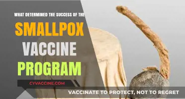 Smallpox Eradication: Key Factors Behind the Vaccine Program's Triumph