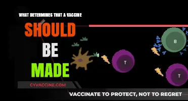 Key Factors Influencing the Development of New Vaccines Explained