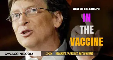 Unraveling the Truth: Bill Gates and Vaccine Conspiracy Theories Debunked